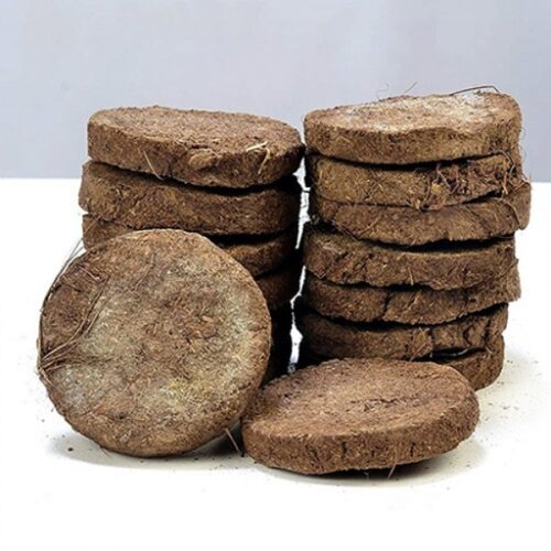 Upala (Cow Dung)